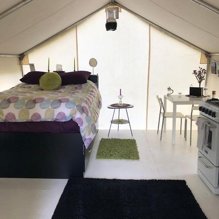 Vines And Puppies Glamping Hideaway Hotell Jade City Exteriör bild