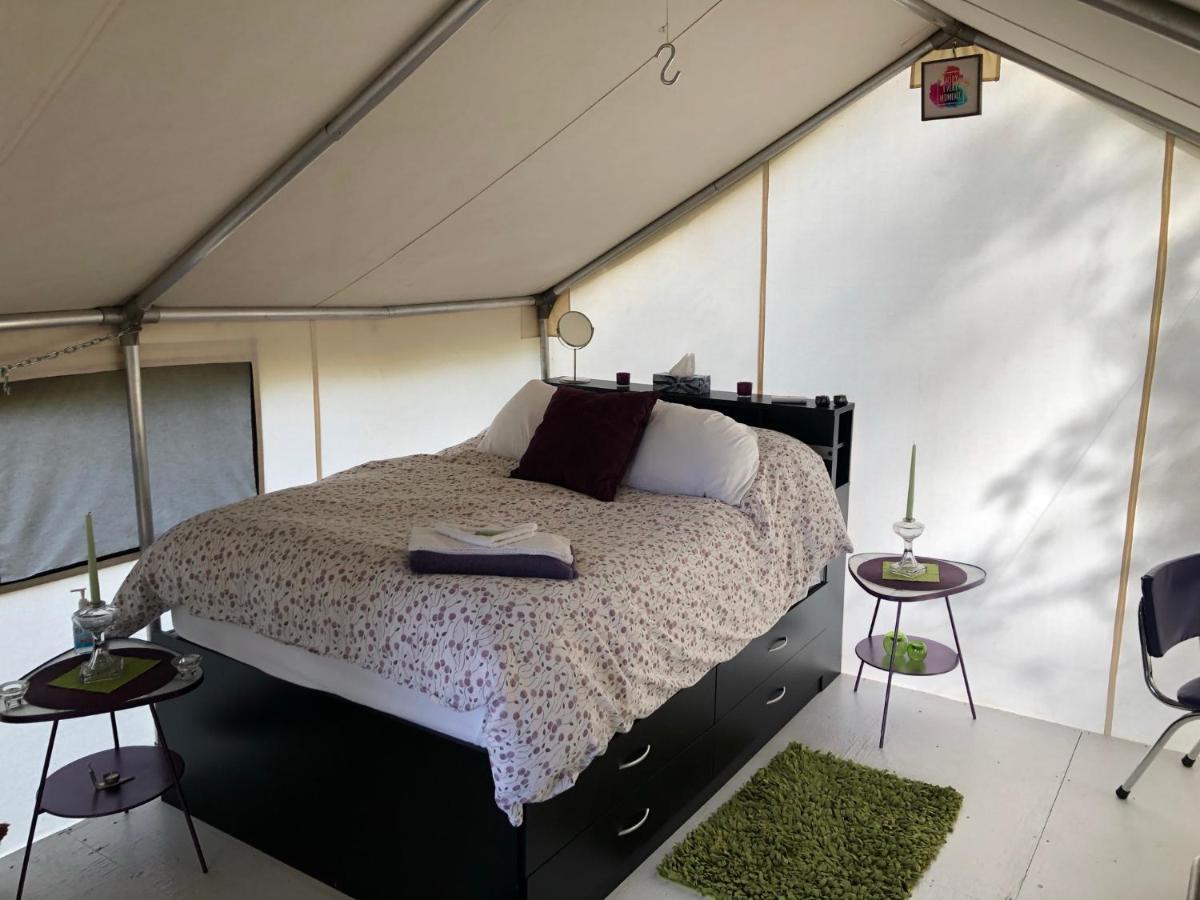 Vines And Puppies Glamping Hideaway Hotell Jade City Exteriör bild
